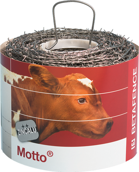 Afbeeldingen van Betafence Puntdraad Motto / Prikkeldraad 250m