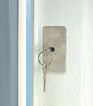 Afbeeldingen van Secumax veiligheidsschilden tbv pensloten RVS 2510.020.01