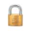Afbeeldingen van Hangslot Burgwachter 50mm 217 50 X1 KA